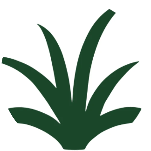 Premier Outdoor Services