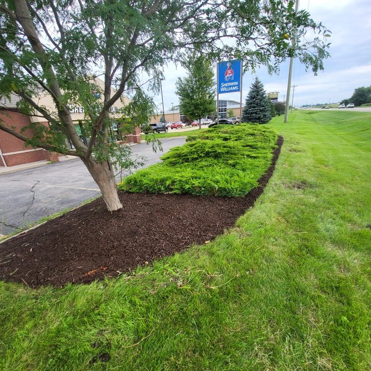 Landscaping in Cedar Rapids, IA
